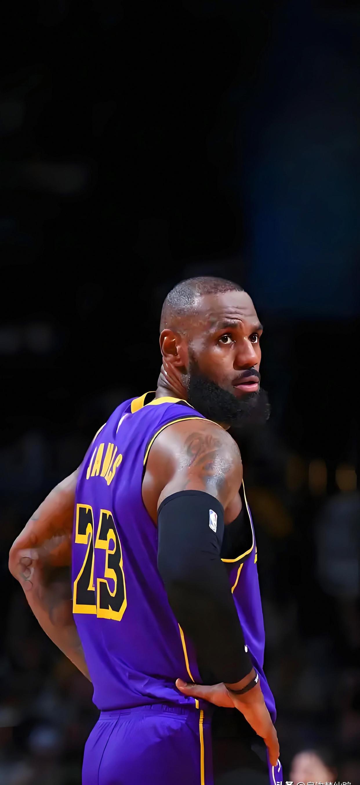 包含詹姆斯迎来十二赛季高光表现，塞尔维亚队球迷沸腾！的词条