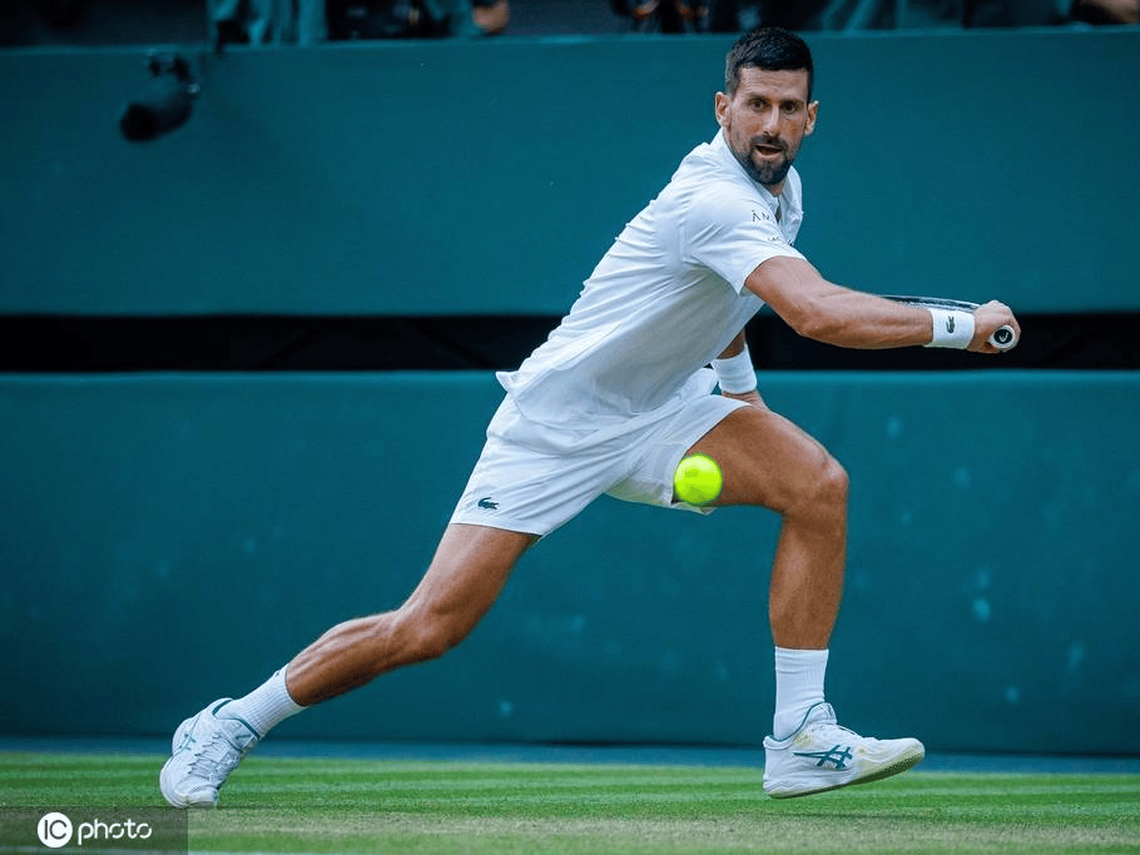 德约科维奇爆冷击败曼联，突破纪录引爆全场！的简单介绍